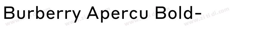 Burberry Apercu Bold字体转换